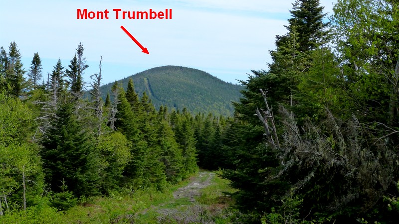 https://static.blog4ever.com/2016/03/816195/Estrie---Sentiers-frontaliers---Salmon-Trumbell---Sommet-Trumbell--vue-loin-.JPG