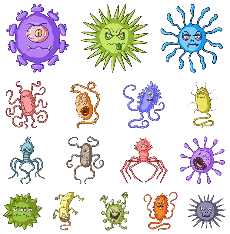 https://static.blog4ever.com/2016/03/816195/Micro-organismes---Microbes.png