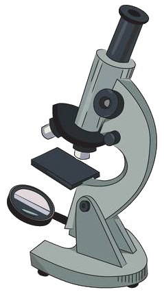 https://static.blog4ever.com/2016/03/816195/Micro-organismes---Microscope-optique.png