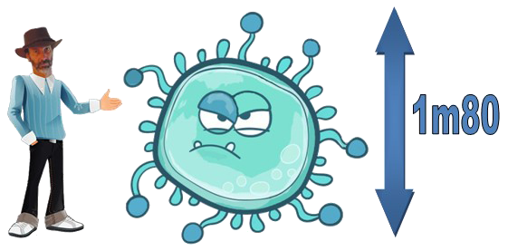 https://static.blog4ever.com/2016/03/816195/Micro-organismes---Yvan-virus-m--me-taille.png