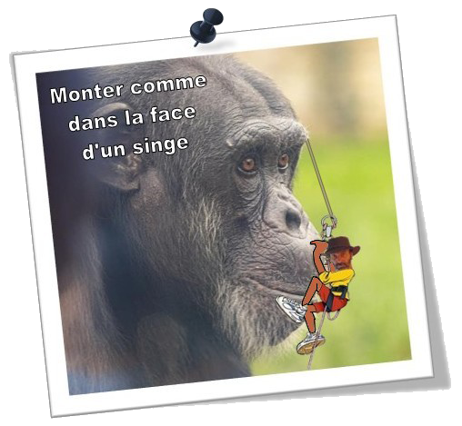 https://static.blog4ever.com/2016/03/816195/Mont-B--langer-Yvan-randonneur-face-de-singe.png