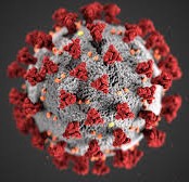 https://static.blog4ever.com/2016/03/816195/Pand--mie---Covid---Coronavirus.jpg