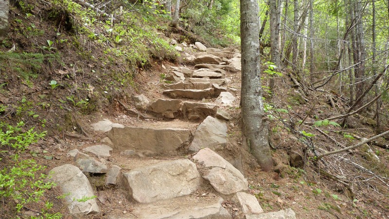 https://static.blog4ever.com/2016/03/816195/Parc-Hautes-Gorges---Acropole-Draveurs---En-montant-3--en-escalier-de-pierres-bien-taill--es-.JPG