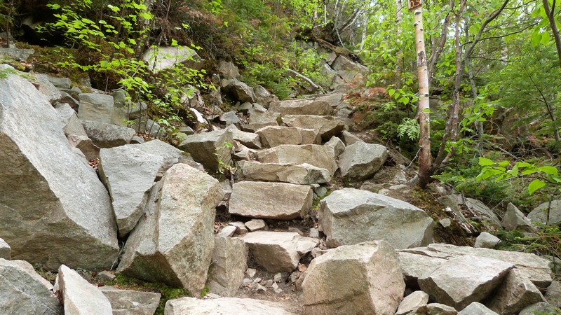 https://static.blog4ever.com/2016/03/816195/Parc-Hautes-Gorges---Acropole-Draveurs---En-montant-4--en-escalier-de-pierres-moins-bien-taill--es-.JPG