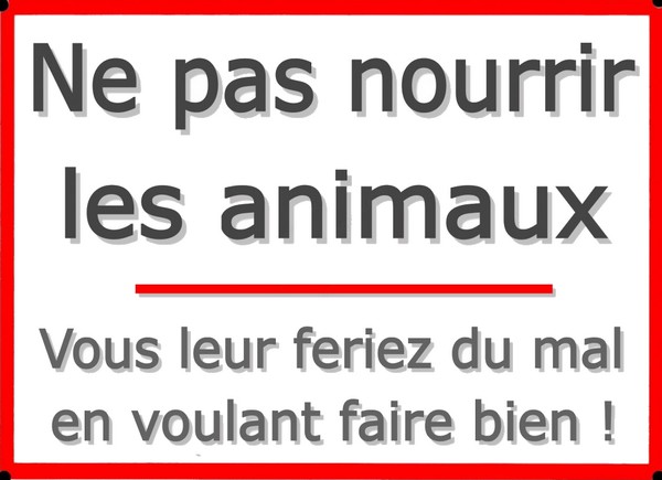 https://static.blog4ever.com/2016/03/816195/Parc-Jacques-Cartier---Sentier-Loups---D--fense-animaux.jpg