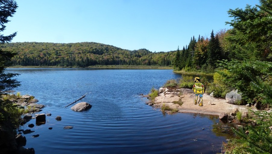 https://static.blog4ever.com/2016/03/816195/Parc-Mauricie---Sentier-Lac-du-Pimbina---Yvan-Lac-du-Pimbina.jpg