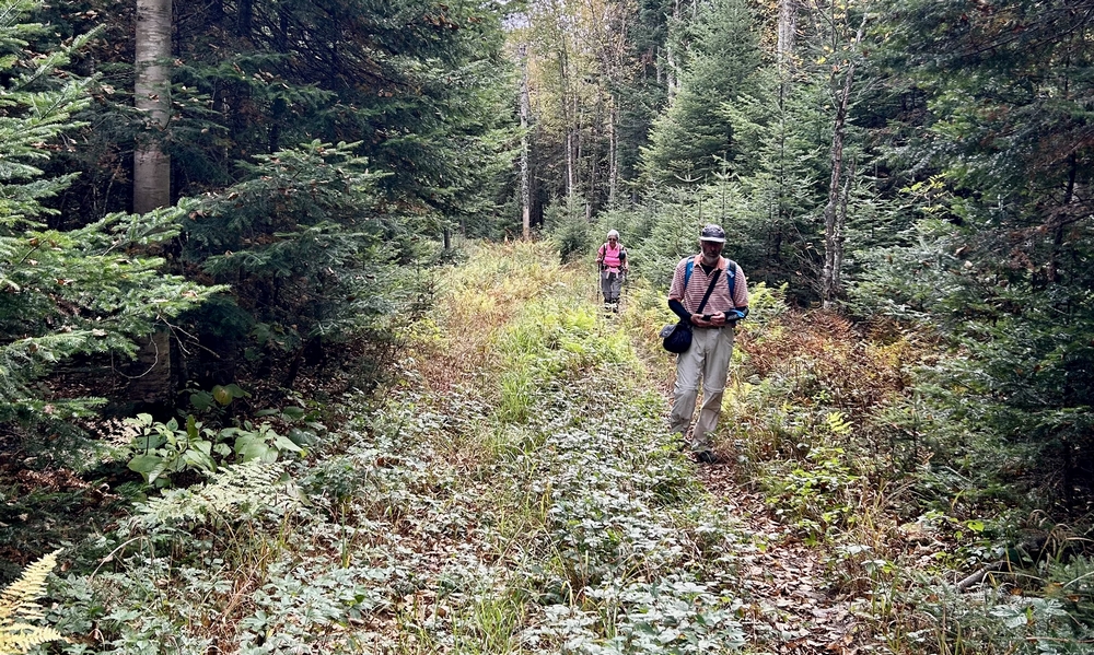 https://static.blog4ever.com/2016/03/816195/Snow-Mountain--Maine----05-Trail-VTT-1b.jpeg