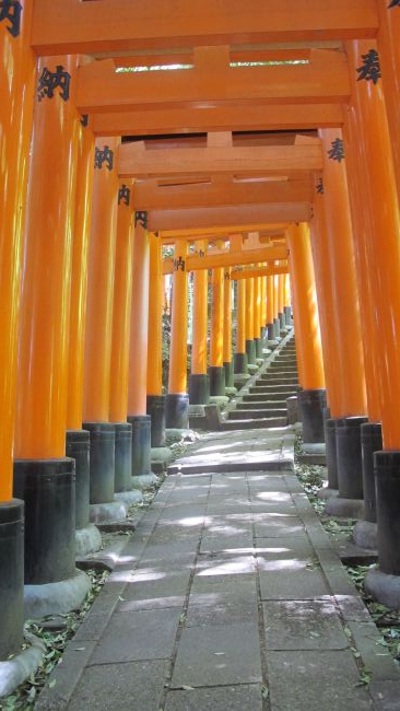 Les tori du Fushimi Inari