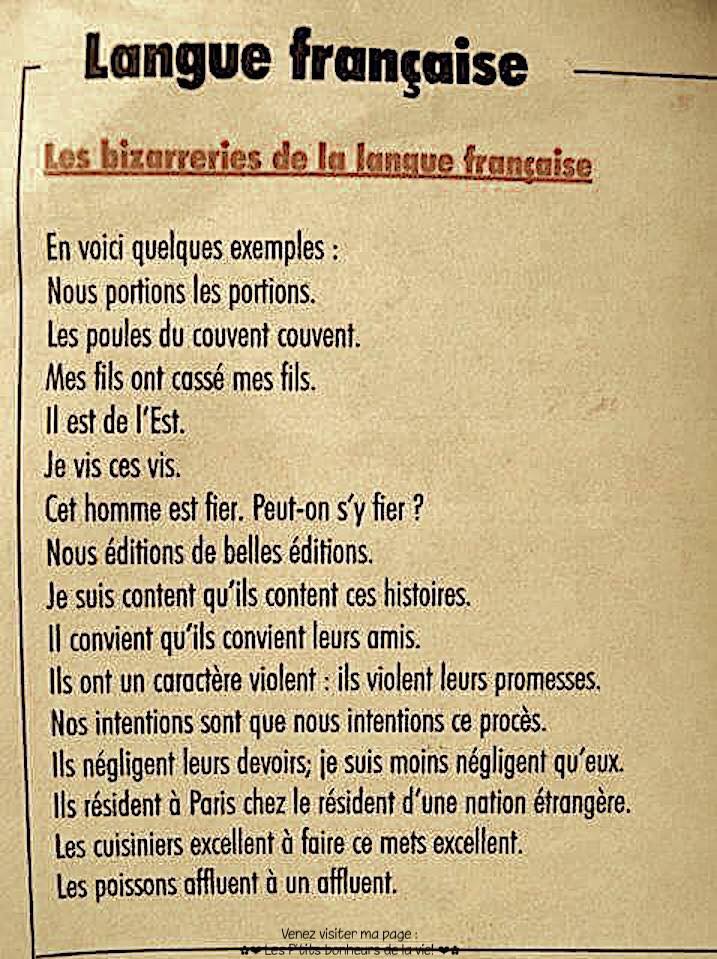 Langue Française PETIT texte de la réunion