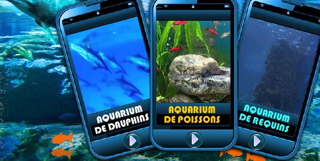 le-trio-des-aquariums.JPG