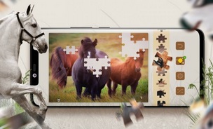 Gameplay de Jeu de Puzzle : Les chevaux