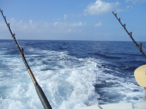 La pêche en haute mer