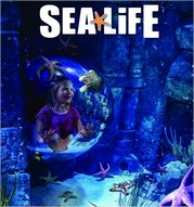 Sea-life.jpg