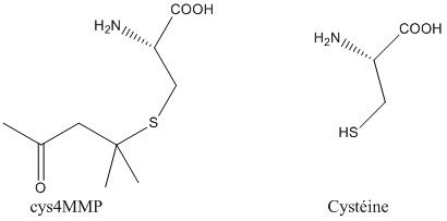 Cysteine ??precursor.jpg