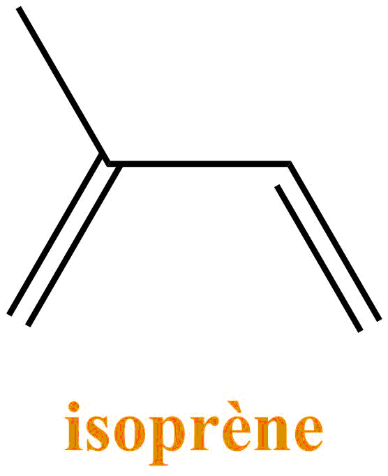 isoprène.png