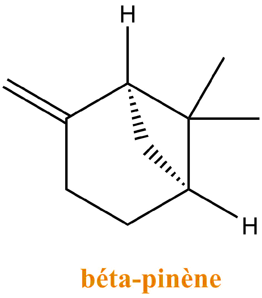 béta pinène.png