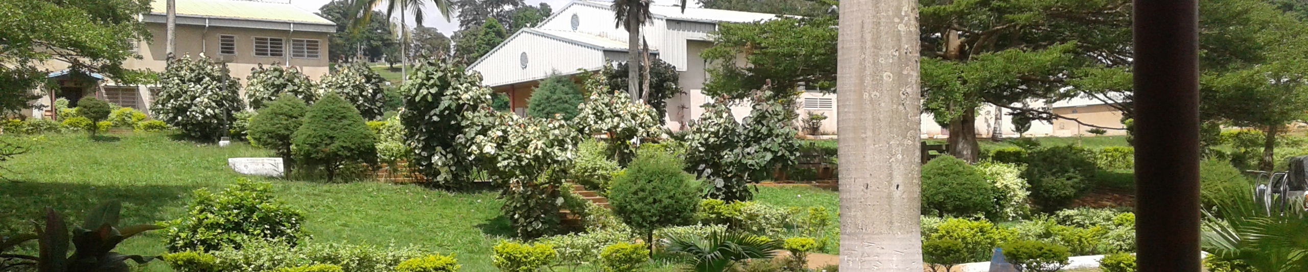 Lycée Technique de Nkolbisson, yaoundé-Cameroun