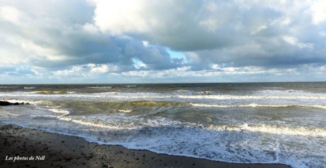 Face à la mer (14/01/2016).