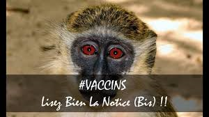VACCINS - Lisez Bien La Notice.png