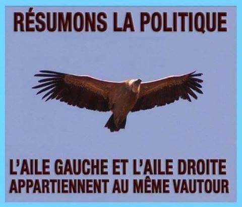 La politique du vautour