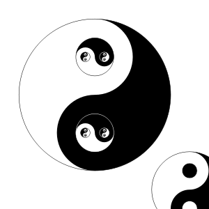 300px-Yinyang-perl_svg.png