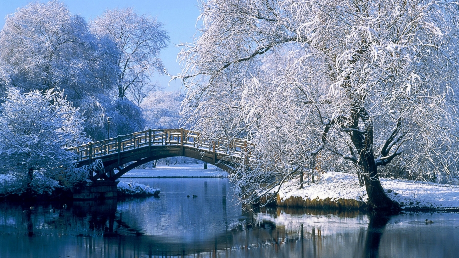 un pont en hiver.jpg