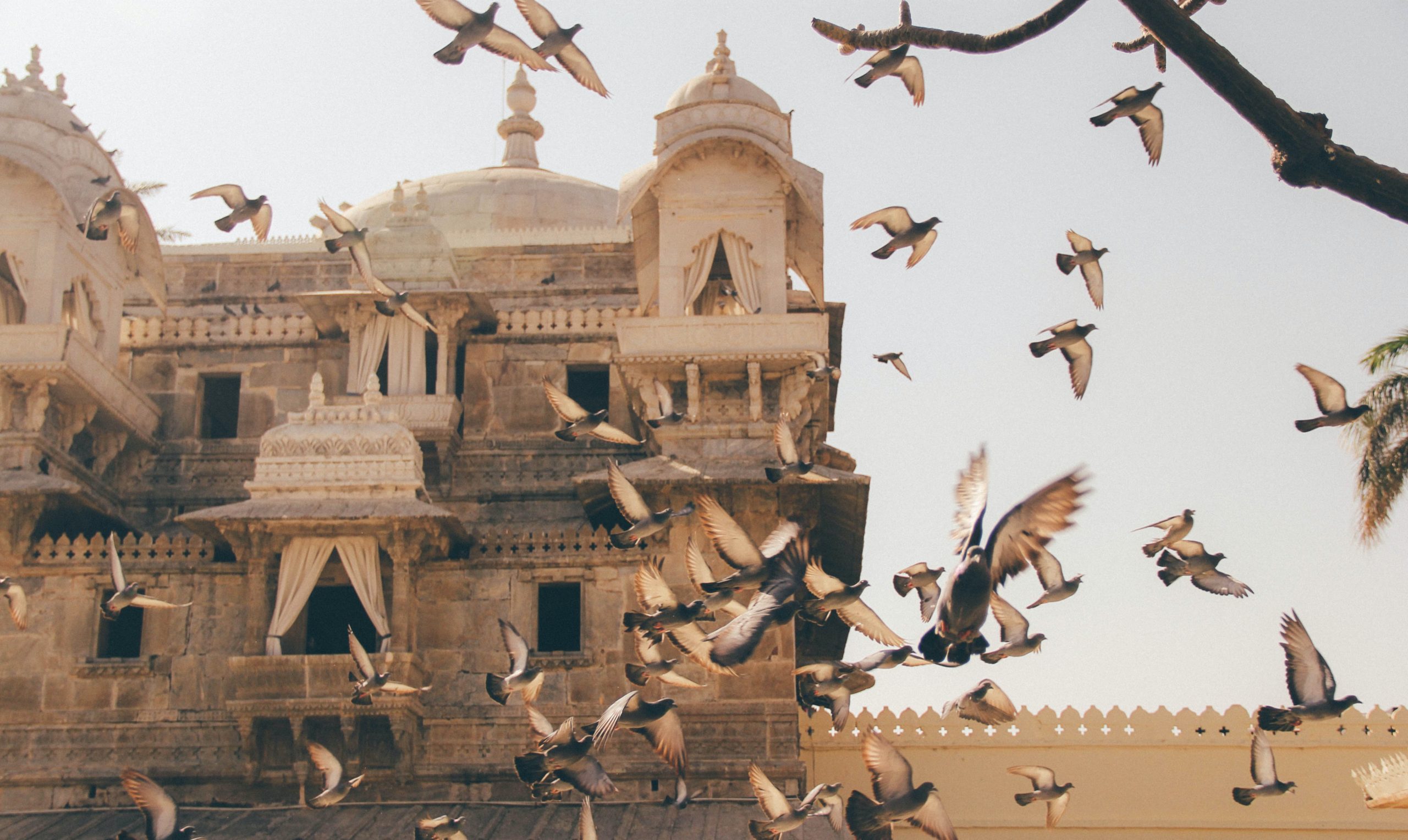Udaipur-Palais-Inde-Recits-nomades-scaled.jpg