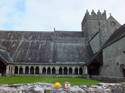 J3 Holycross abbey.jpg