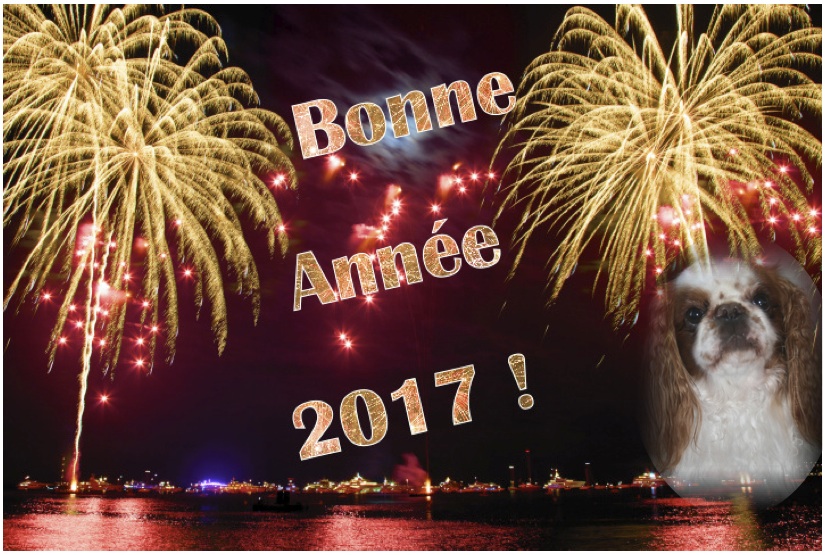 Bonne année.jpg