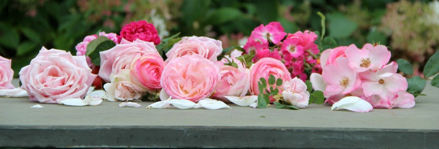 bouquet-roses-roquelin-loire.jpg