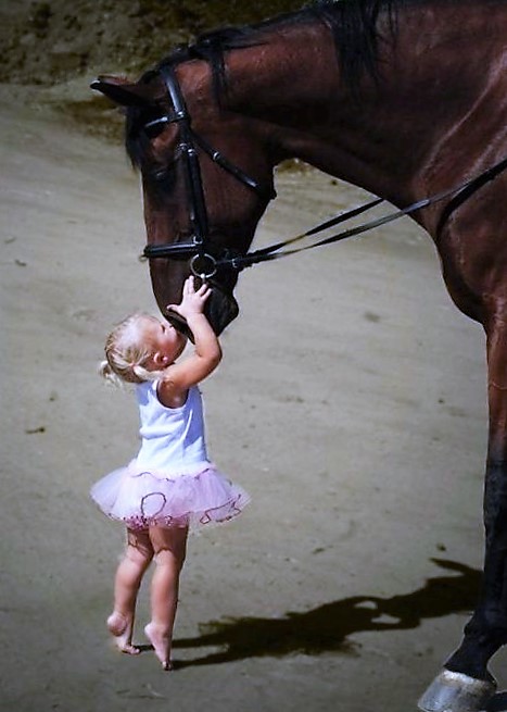 Bisou au cheval.jpg