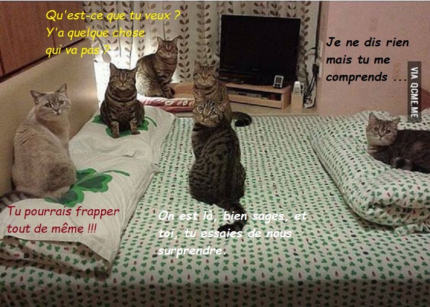 CHAMBRE AMIES.jpg