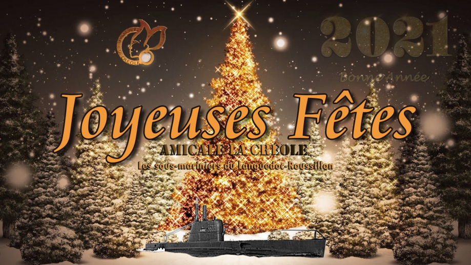 2020_2021 Voeux noël 2020 2021 v3