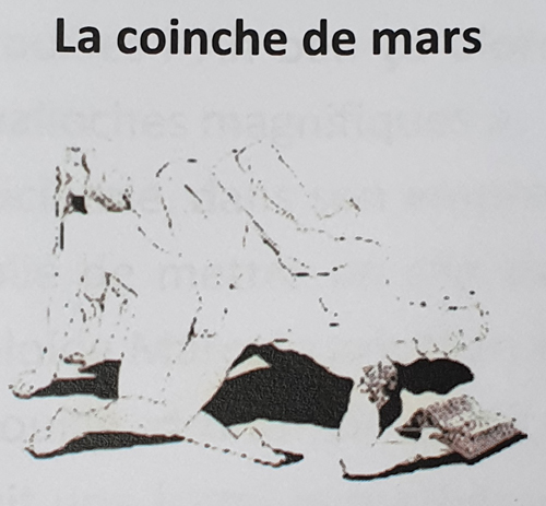 La coinche