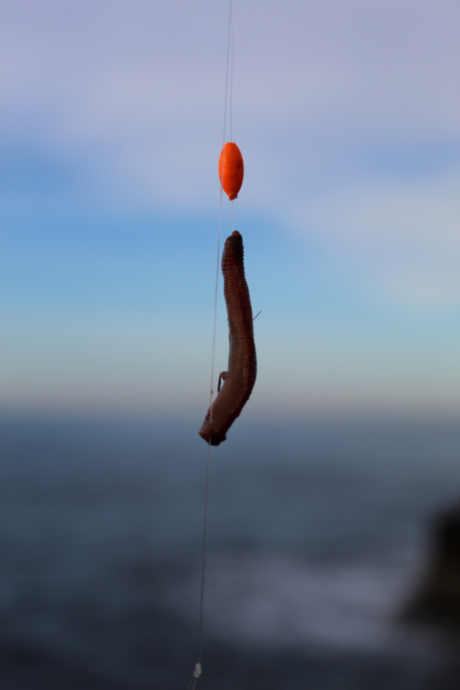 Perle flottante de pêche en surfcasting ovale 12mm CAPERLAN