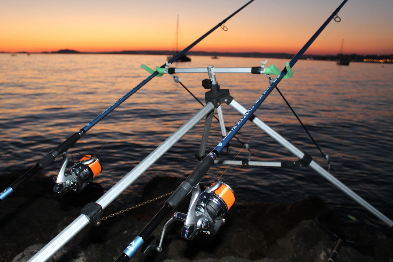 Fishing Clash – Le guide complet sur les cannes à pêche