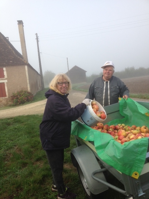 Pommes Limeuil.jpg