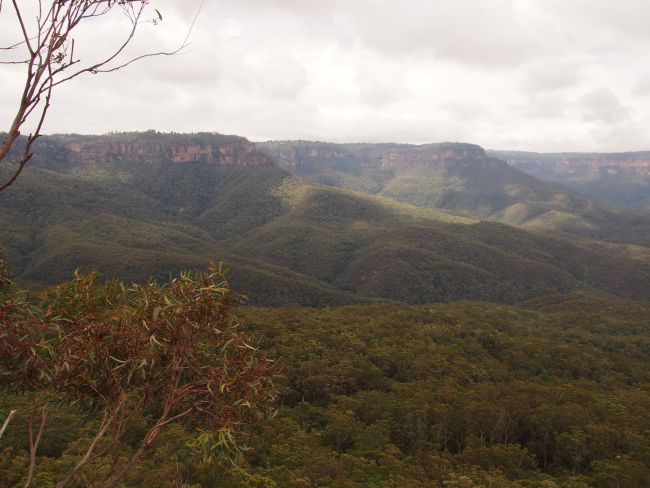 Blue Mountains