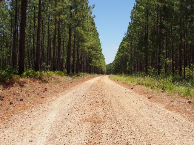 La route droite