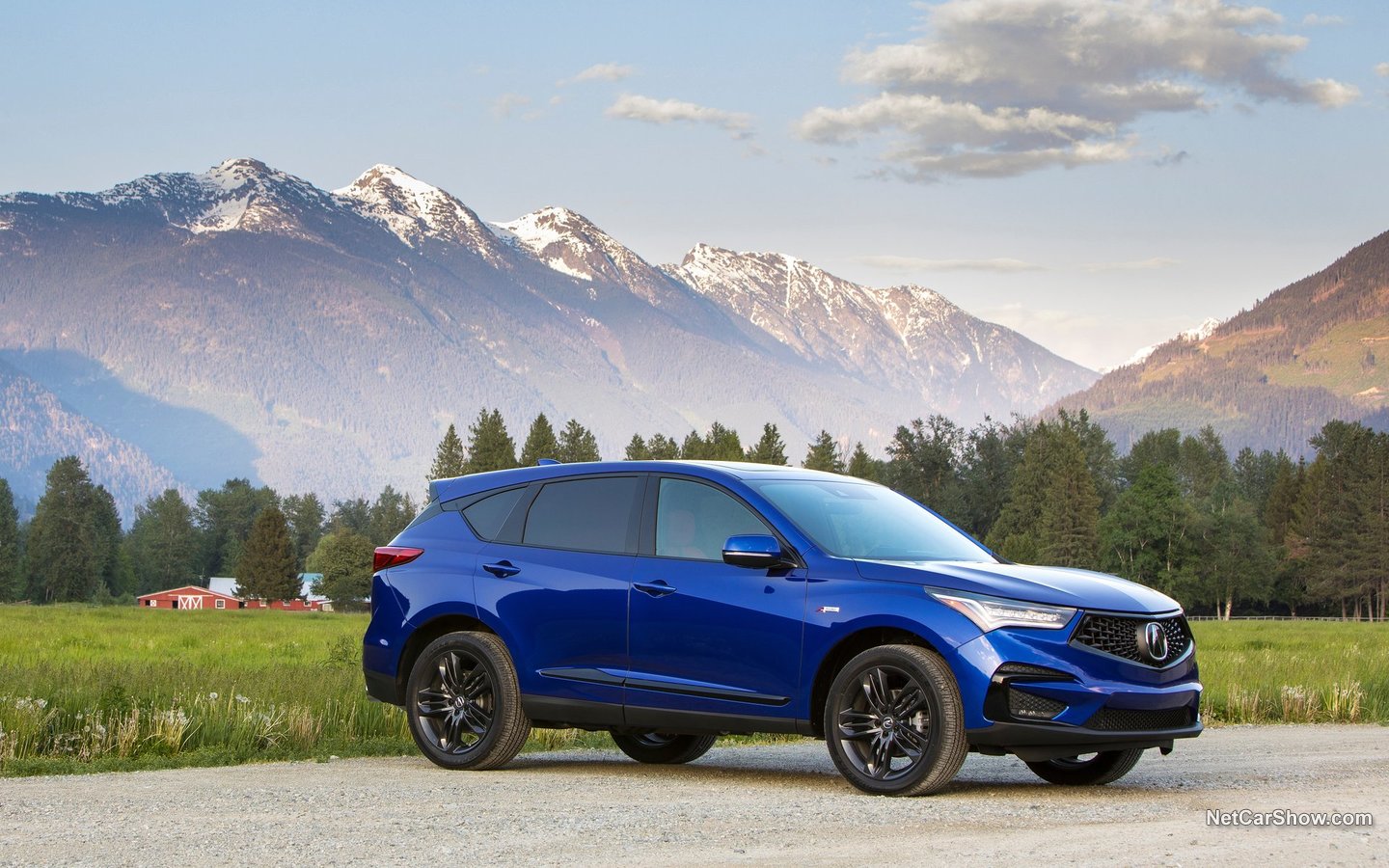 Acura RDX 2019 4f143b12