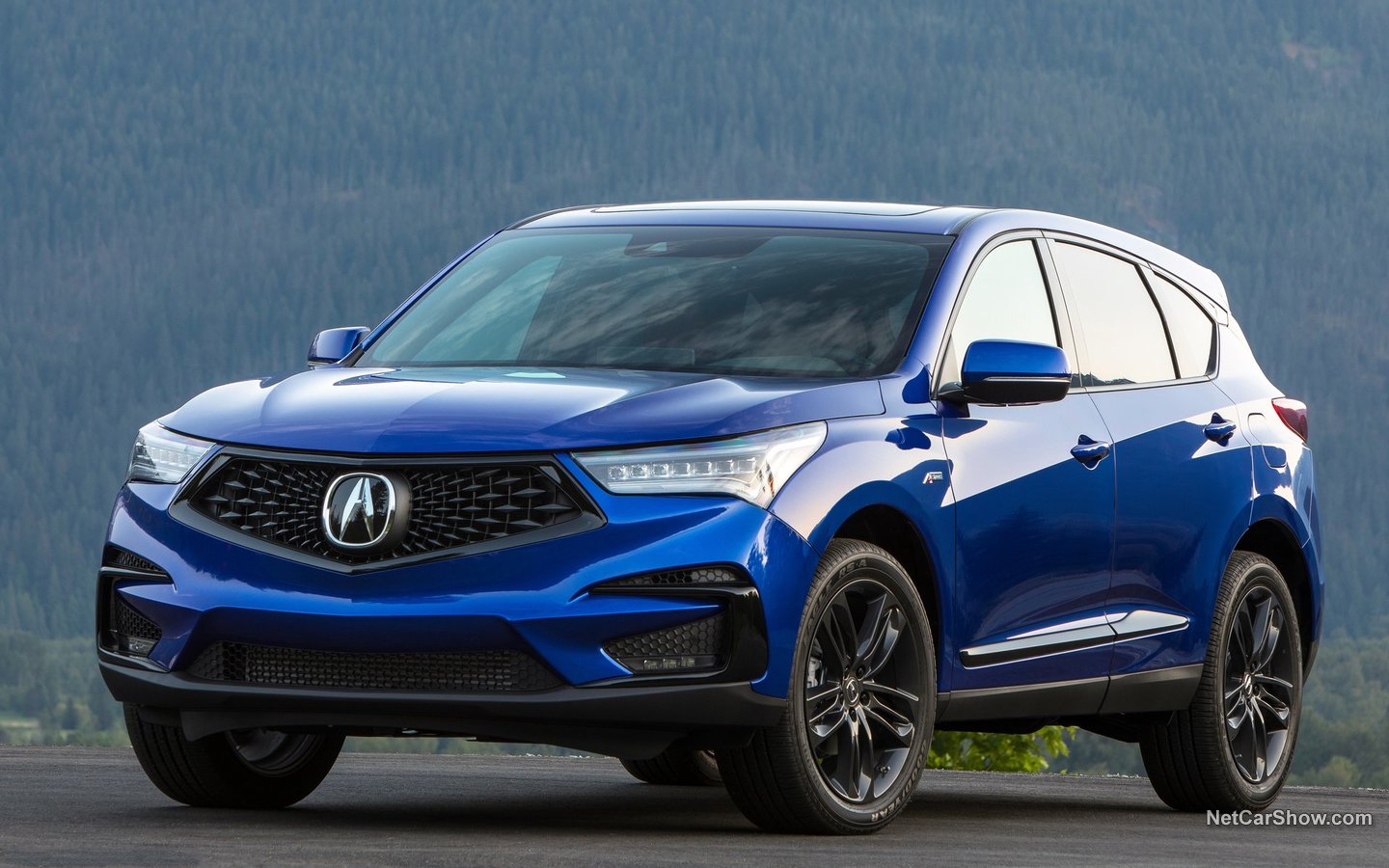 Acura RDX 2019 8b8b737d