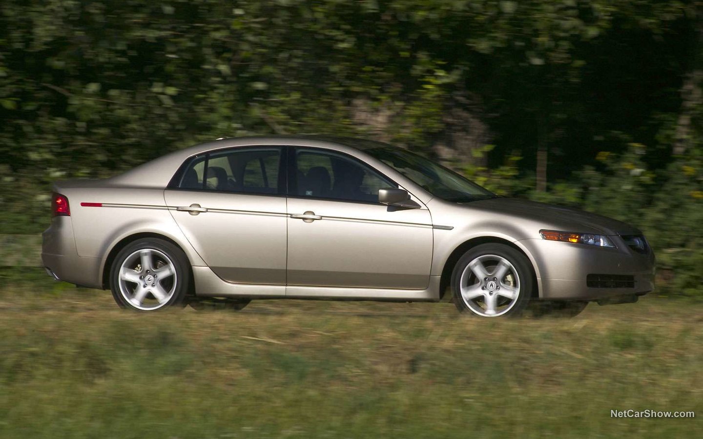 Acura TL 2005 7701cad6