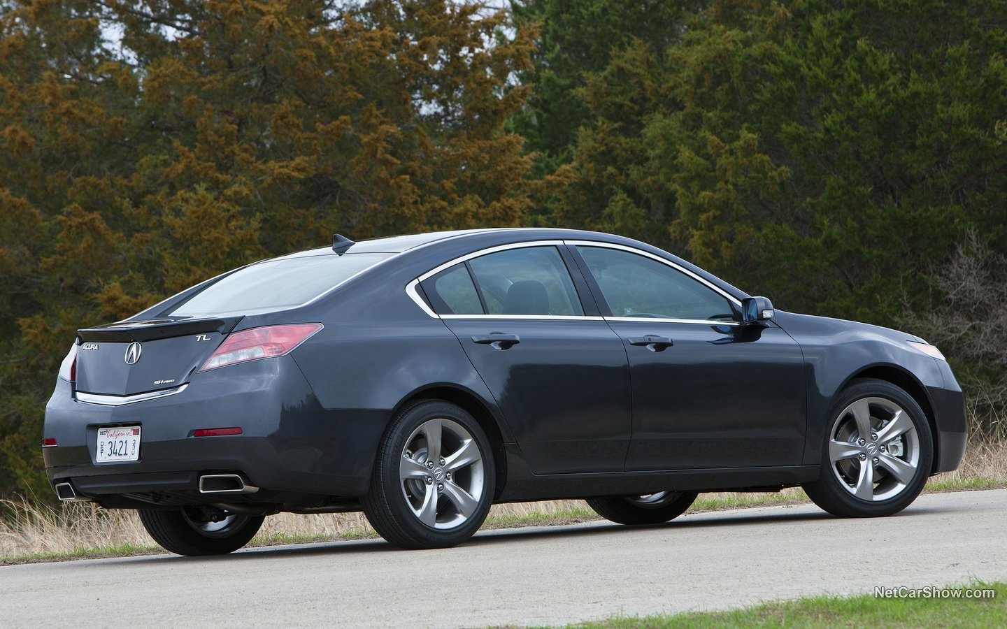 Acura TL 2012 2fecd637