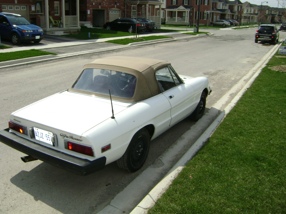 Alfa Romeo Spider 1976 cardomain com R