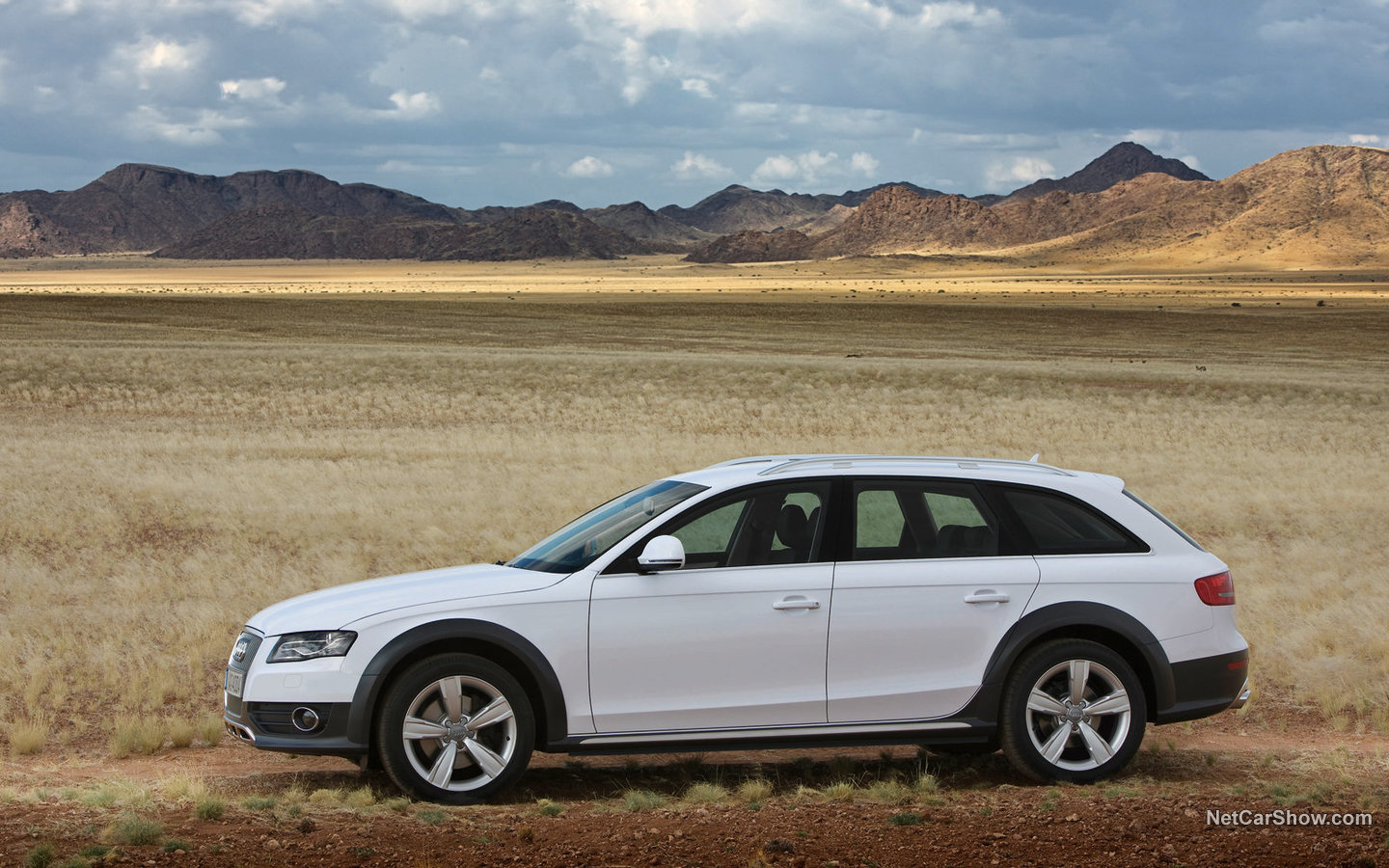 Audi A4 Allroad Quattro 2010 69b1dc24