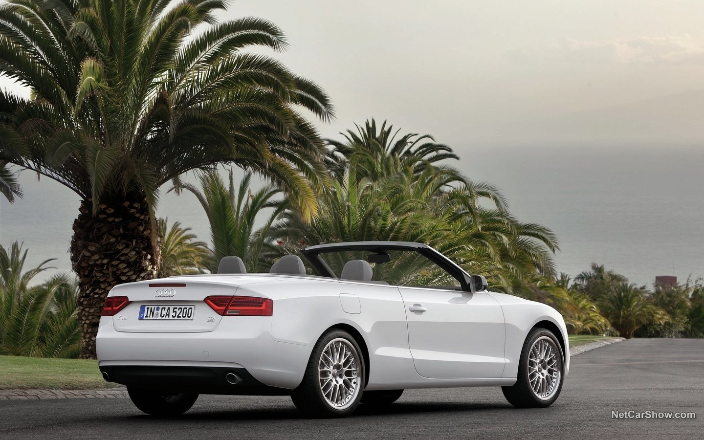 Audi A5 Cabriolet 2012 49cd42d3