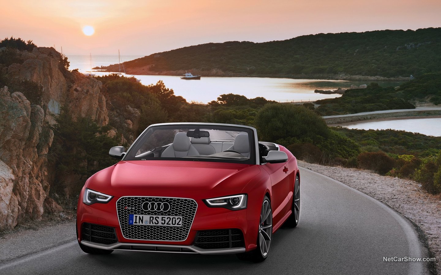 Audi A5 RS5 Cabriolet 2014 5a9c05ca