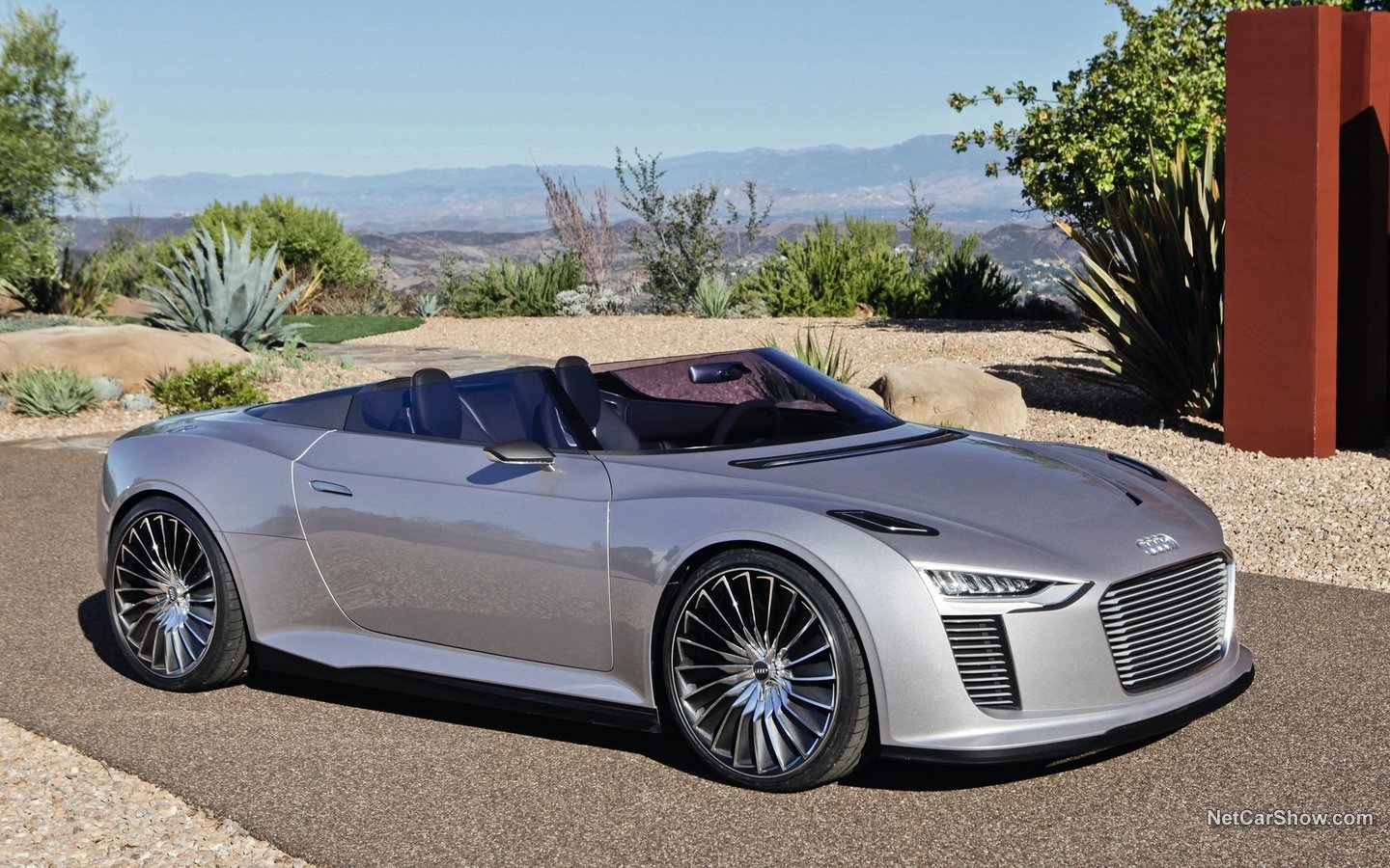 Audi e-tron Spyder Concept 2010 168d9690