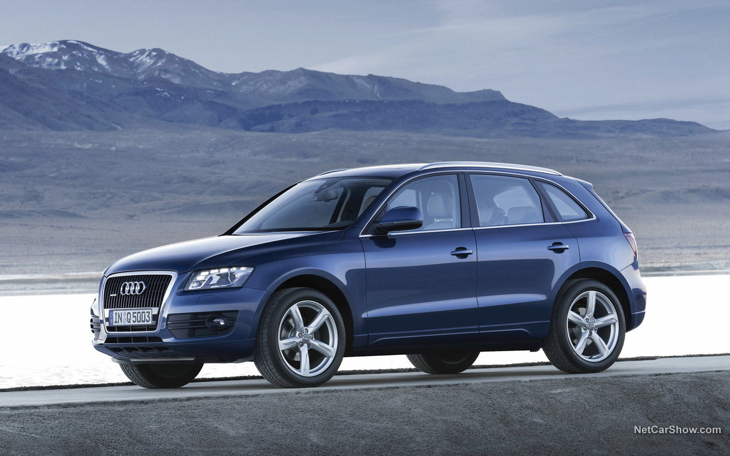 Audi Q5 2009 fabbb362