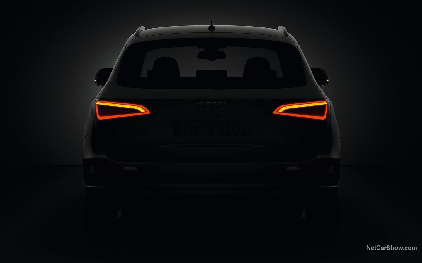 Audi Q5 2013 8ee1d8fc